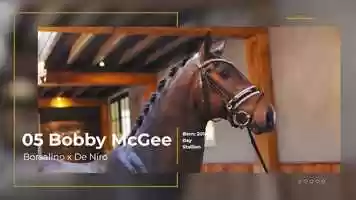 Free download 05_Bobby McGee video and edit with RedcoolMedia movie maker MovieStudio video editor online and AudioStudio audio editor onlin