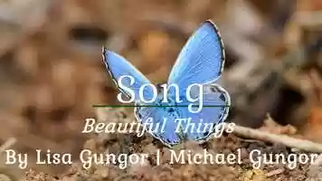 Free download 08_Song-Beautiful Things video and edit with RedcoolMedia movie maker MovieStudio video editor online and AudioStudio audio editor onlin