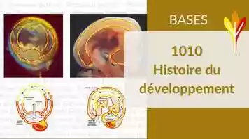 Free download 1010 Histoire du Developpement_Trailer.mp4 video and edit with RedcoolMedia movie maker MovieStudio video editor online and AudioStudio audio editor onlin