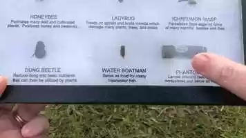 Free download 10c3 Beneficial Insects video and edit with RedcoolMedia movie maker MovieStudio video editor online and AudioStudio audio editor onlin