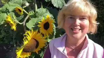 Free download 10c5 Bees Intro video and edit with RedcoolMedia movie maker MovieStudio video editor online and AudioStudio audio editor onlin