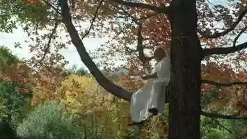 Free download 11320 TRAILER video and edit with RedcoolMedia movie maker MovieStudio video editor online and AudioStudio audio editor onlin