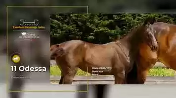 Free download 11 Odessa video and edit with RedcoolMedia movie maker MovieStudio video editor online and AudioStudio audio editor onlin