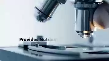 Free download 1-335 | Lindon, UTAH .Restore.com (Draper 84020)(385-255-2796) | Hyper-Wellness BEST-of-State: Compression-therapy video and edit with RedcoolMedia movie maker MovieStudio video editor online and AudioStudio audio editor onlin