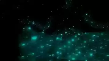 Free download 17 Music Box - Natalie Grove video and edit with RedcoolMedia movie maker MovieStudio video editor online and AudioStudio audio editor onlin