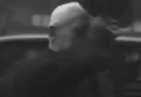 Free download 1933-11-13-Deulig-Tonwoche-Nr.098 video and edit with RedcoolMedia movie maker MovieStudio video editor online and AudioStudio audio editor onlin