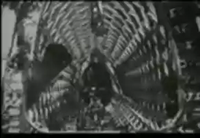 Free download 1941-04-30 - Die Deutsche Wochenschau Nr. 556 (24m 09s, 720x544) video and edit with RedcoolMedia movie maker MovieStudio video editor online and AudioStudio audio editor onlin