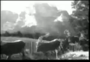 Free download 1943-11-10 - Die Deutsche Wochenschau Nr. 688 (20m 19s, 720x544) video and edit with RedcoolMedia movie maker MovieStudio video editor online and AudioStudio audio editor onlin