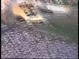 Free download 1959 USA - rodeo - utelatt i fellesfilm -film 9 video and edit with RedcoolMedia movie maker MovieStudio video editor online and AudioStudio audio editor onlin