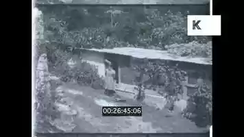 Free download 1960s Jamaican Farm, Home Movies from 16mm video and edit with RedcoolMedia movie maker MovieStudio video editor online and AudioStudio audio editor onlin