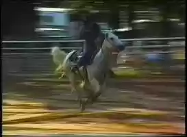 Free download 1998 Josey Reunion 1D Finals #9 of 10 Melody Henry video and edit with RedcoolMedia movie maker MovieStudio video editor online and AudioStudio audio editor onlin