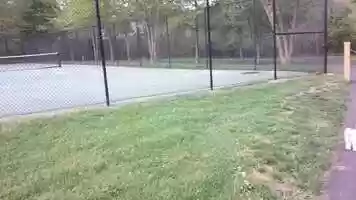 Free download 1 Beginning by tennis.AVI video and edit with RedcoolMedia movie maker MovieStudio video editor online and AudioStudio audio editor onlin