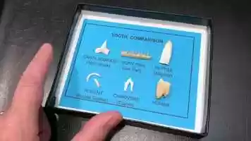 Free download 1c4 Teeth video and edit with RedcoolMedia MovieStudio video editor online and AudioStudio audio editor onlin