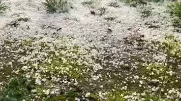 Free download 1 Hail A (rain sounds - no voice) video and edit with RedcoolMedia movie maker MovieStudio video editor online and AudioStudio audio editor onlin
