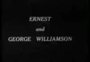 Free download 20,000 Leagues Under the Sea video and edit with RedcoolMedia movie maker MovieStudio video editor online and AudioStudio audio editor onlin