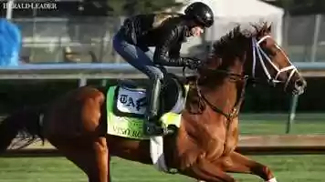 Free download 2018 Kentucky Derby Horses Training video and edit with RedcoolMedia movie maker MovieStudio video editor online and AudioStudio audio editor onlin