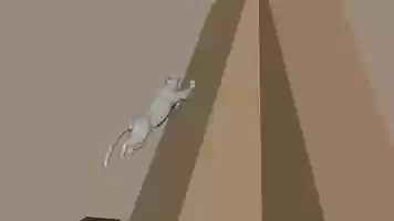 Free download 2018 Quadruped animation project video and edit with RedcoolMedia movie maker MovieStudio video editor online and AudioStudio audio editor onlin