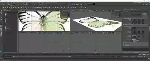 Free download 2018 Still and Moving Image: A2 Moving Image video and edit with RedcoolMedia movie maker MovieStudio video editor online and AudioStudio audio editor onlin