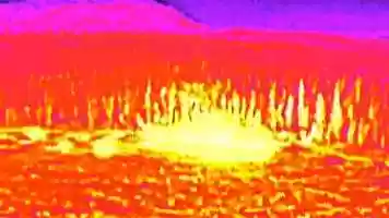 Free download 2019 Kinbasket Debris Program video and edit with RedcoolMedia movie maker MovieStudio video editor online and AudioStudio audio editor onlin