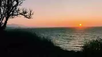 Free download 2019 year video video and edit with RedcoolMedia movie maker MovieStudio video editor online and AudioStudio audio editor onlin