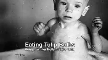 Free download 20200325 ~ Eating Tulip Bulbs ~ Hunger Winter Holland 1944-1945 video and edit with RedcoolMedia movie maker MovieStudio video editor online and AudioStudio audio editor onlin