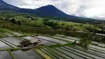 Free download 2020 Bali video and edit with RedcoolMedia movie maker MovieStudio video editor online and AudioStudio audio editor onlin