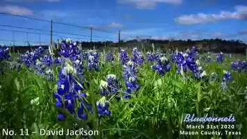 Free download 2020 HCCC OJC2_no Music video and edit with RedcoolMedia movie maker MovieStudio video editor online and AudioStudio audio editor onlin