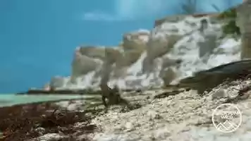 Free download 2020 Jackson Wild Media Awards Call for Entry video and edit with RedcoolMedia movie maker MovieStudio video editor online and AudioStudio audio editor onlin