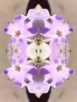 Free download 2020 Super Bouquet video and edit with RedcoolMedia movie maker MovieStudio video editor online and AudioStudio audio editor onlin