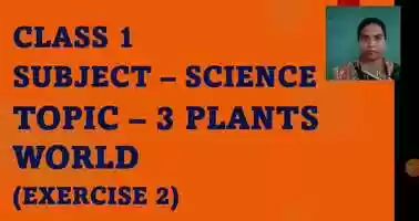 Free download 20-8-21 Class 1 Science L3 Plants World Ex 2-1.m4v video and edit with RedcoolMedia movie maker MovieStudio video editor online and AudioStudio audio editor onlin