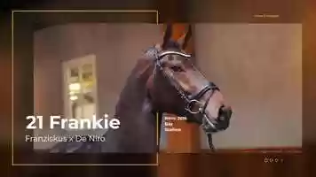 Free download 21 Frankie video and edit with RedcoolMedia movie maker MovieStudio video editor online and AudioStudio audio editor onlin
