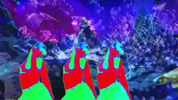 Free download 23s clip,  The Beauty And The Fish video and edit with RedcoolMedia movie maker MovieStudio video editor online and AudioStudio audio editor onlin