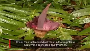Free download 25 Surprising Weight Loss Hacks That Actually Work! pt. 5 video and edit with RedcoolMedia movie maker MovieStudio video editor online and AudioStudio audio editor onlin