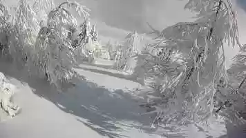 Free download 27 Ianuarie video and edit with RedcoolMedia movie maker MovieStudio video editor online and AudioStudio audio editor onlin