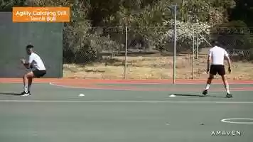 Free download 282 Agility Catching Drill - Tennis Ball video and edit with RedcoolMedia movie maker MovieStudio video editor online and AudioStudio audio editor onlin