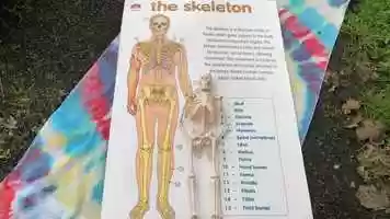 Free download 2a2 Bones to Know video and edit with RedcoolMedia movie maker MovieStudio video editor online and AudioStudio audio editor onlin