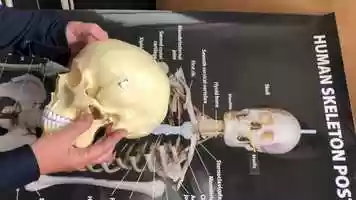 Free download 2a2 Skull video and edit with RedcoolMedia movie maker MovieStudio video editor online and AudioStudio audio editor onlin