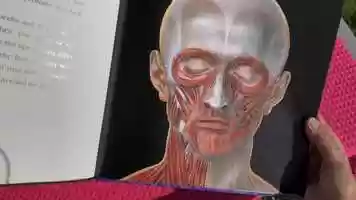 Free download 2b6 Muscle Art video and edit with RedcoolMedia movie maker MovieStudio video editor online and AudioStudio audio editor onlin