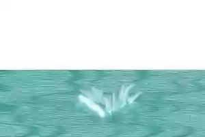 Free download 2D water splash animation video and edit with RedcoolMedia movie maker MovieStudio video editor online and AudioStudio audio editor onlin
