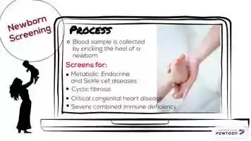 Free download 2G03 Project video and edit with RedcoolMedia movie maker MovieStudio video editor online and AudioStudio audio editor onlin