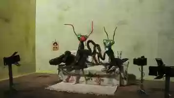 Free download 2 voor 12 | BNNVARA | The Praying Mantis video and edit with RedcoolMedia movie maker MovieStudio video editor online and AudioStudio audio editor onlin