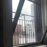 Free download 2 #windowtreatment: Clean your Window - See Multispecies Communities video and edit with RedcoolMedia movie maker MovieStudio video editor online and AudioStudio audio editor onlin