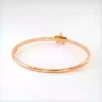 Free download 30 BOUQUET 5776 Garland Bangle 9ct Rose Gold Anim video and edit with RedcoolMedia movie maker MovieStudio video editor online and AudioStudio audio editor onlin