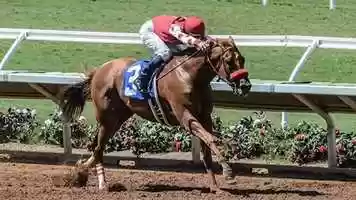 Free download 32 SPORTS NEWS STORY Racehorse Rescue - Win Place Home video and edit with RedcoolMedia movie maker MovieStudio video editor online and AudioStudio audio editor onlin