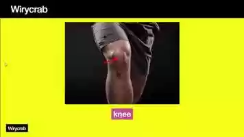 Free download 35 Learning new words (parts of the body) - test video and edit with RedcoolMedia movie maker MovieStudio video editor online and AudioStudio audio editor onlin