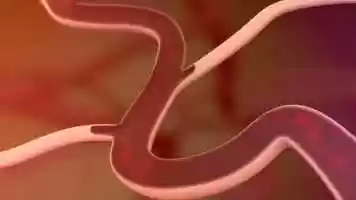 Free download 3D animation Catch+ video and edit with RedcoolMedia movie maker MovieStudio video editor online and AudioStudio audio editor onlin