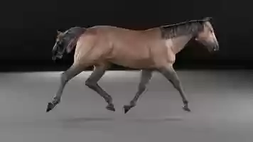 Free download 3D CG Horse Animation (Trot cycle) video and edit with RedcoolMedia movie maker MovieStudio video editor online and AudioStudio audio editor onlin