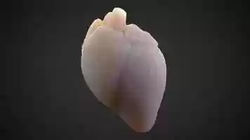 Free download 3D Heart video and edit with RedcoolMedia movie maker MovieStudio video editor online and AudioStudio audio editor onlin