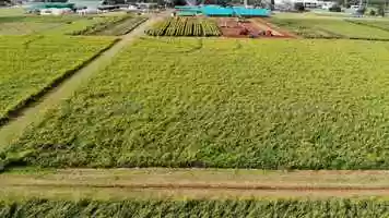 Free download 4-128 | #1 Full-Spectrum CBD Madison Wisconsin Manufacturing, Isolate | Factory6 CBD: MO MS MN MI MA MD ME | video and edit with RedcoolMedia movie maker MovieStudio video editor online and AudioStudio audio editor onlin