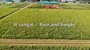Free download 4-168 | #1 Full-Spectrum CBD Garland, TX Manufacturing, Isolate | Factory6 CBD: IN IL ID HI GA FL DC | video and edit with RedcoolMedia movie maker MovieStudio video editor online and AudioStudio audio editor onlin